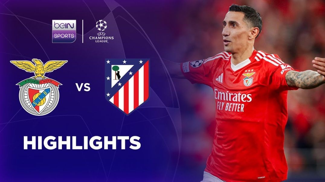 Benfica 4-0 Atletico Madrid - Champions League 24-25 Match Highlights